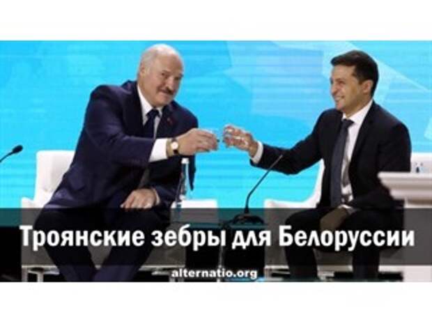 Троянские зебры для Белоруссии