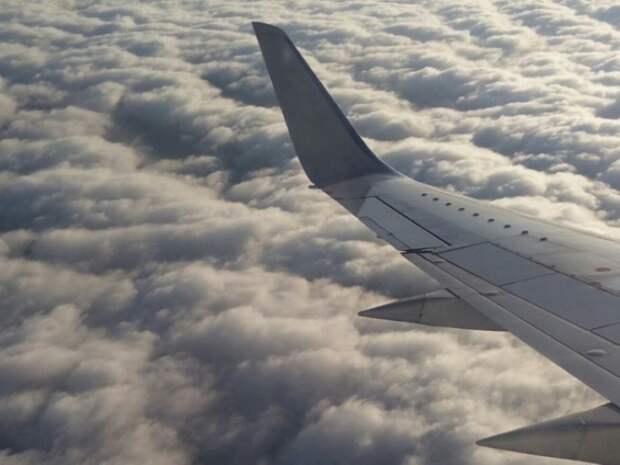 Самолет Москва - Ташкент экстренно сел в Самаре из-за больного пассажира