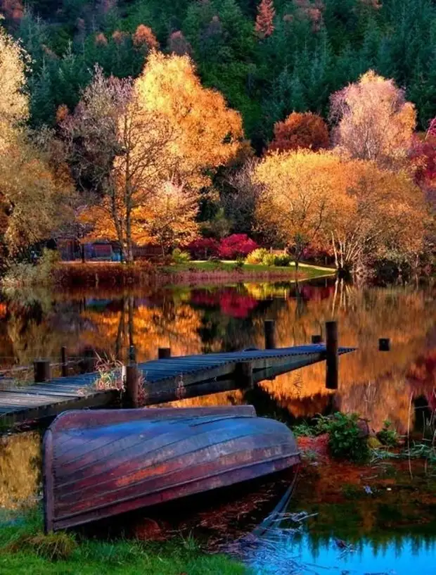 �������� ���������� � ������� �����.