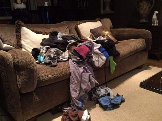 find-hidden-cat-camouflage-hide-and-seek-catouflage-188