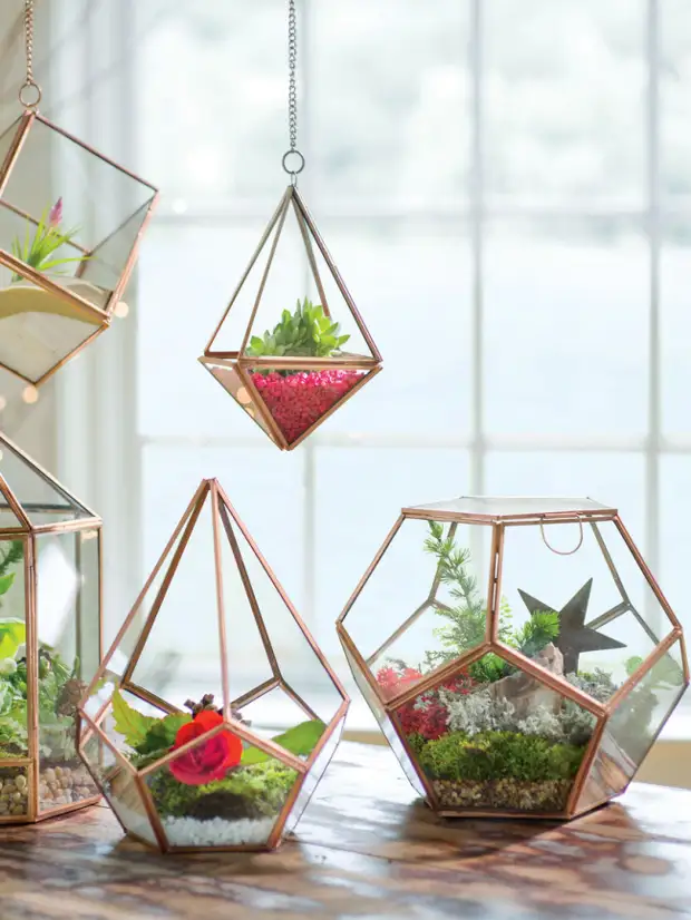 Флорариум своими руками: пошаговый мастер-класс по созданию потрясающего мини-сада за стеклом