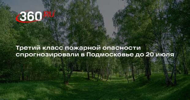 Третий класс пожарной опасности спрогнозировали в Подмосковье до 20 июля