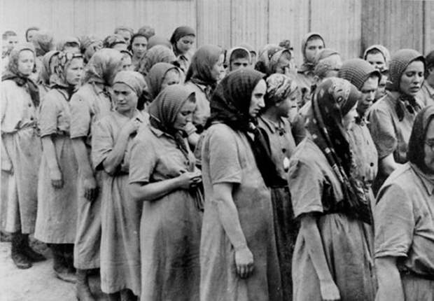 4 факта о том, как еврейка с помощью стриптиза убила самого кровавого нациста Освенцима