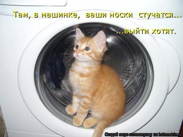 Мысли вслух :)
