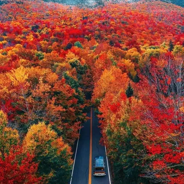 �������� ���������� � ������� �����.