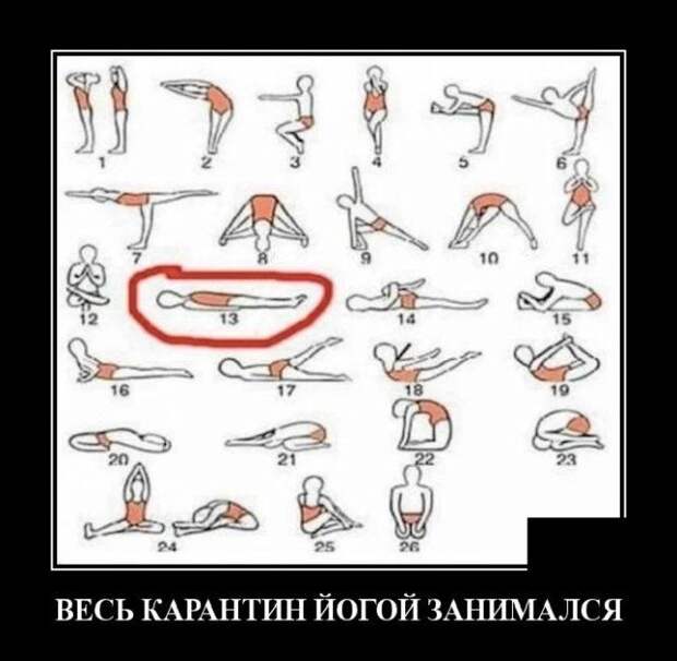 demotivatory-demotivator-smeshnye-demotivatory-demotivator-so-smyslom