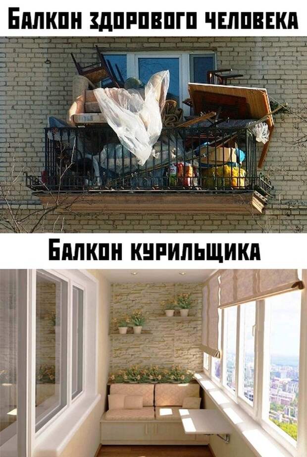 kartinok-prikolnyh-podborka-kartinki-smeshnye-kartinki-fotoprikoly