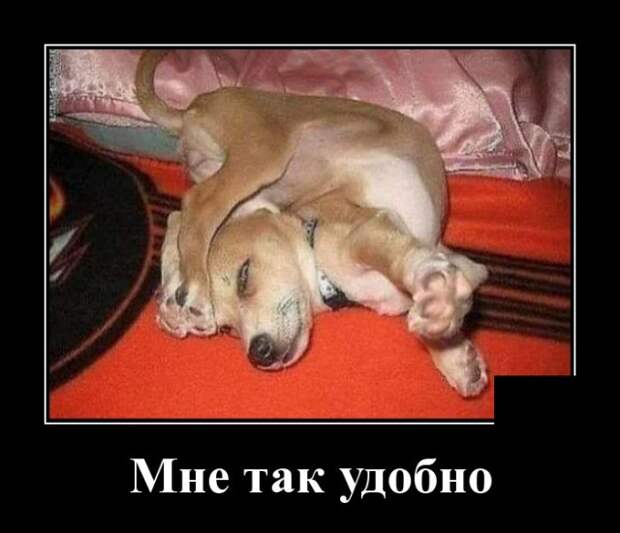 Демотиваторы (30 фото)