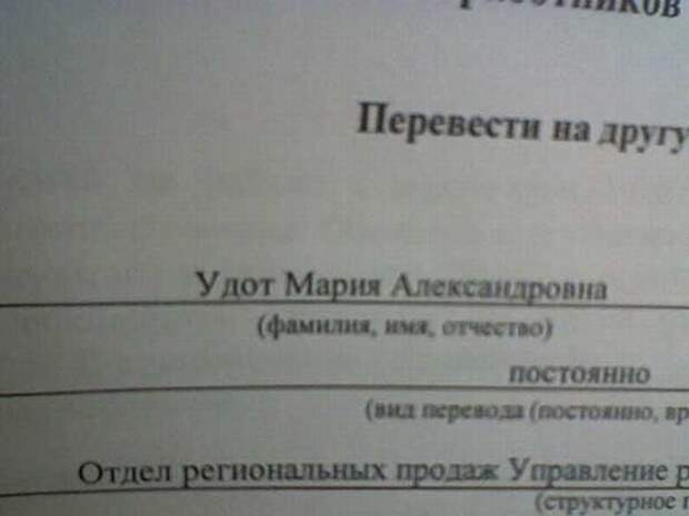 Смешные фамилии (33 фото)