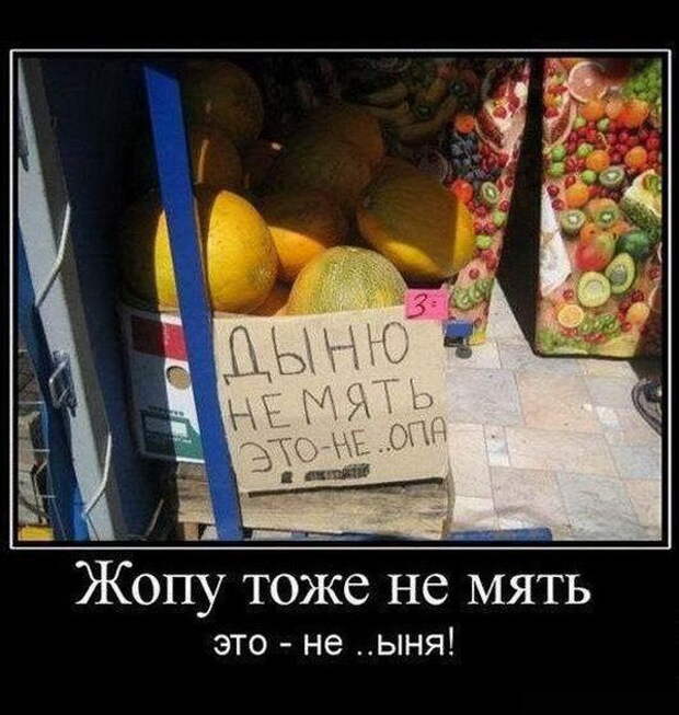 Подборка веселых и забавных демотиваторов для классного настроения