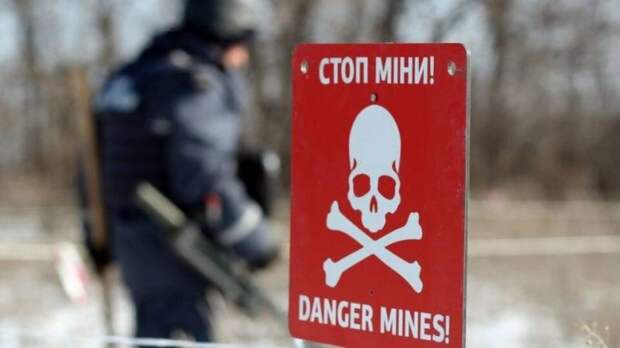 Представитель ООН: По количеству мин и неразорвавшихся снарядов Украина превосходит Афганистан и Сомали