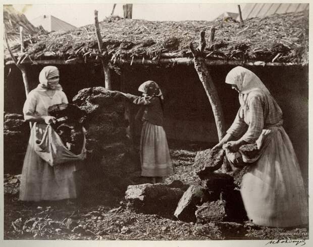 Казачки сносят кизяки в катух (сарай). Цимлянская станица