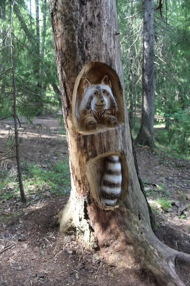 "Тянутся сосны в прозрачное небо, глыбы гранита заснули давно..." Парк Монрепо в Выборге