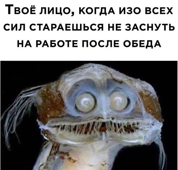 Смешные картинки вечер 10 декабря 2020