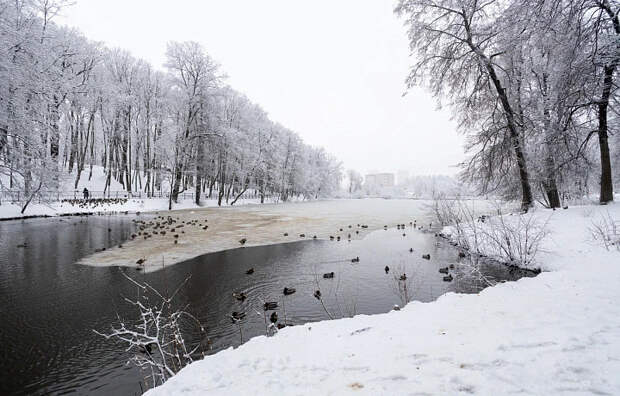 Жителям Тульской области рассказали о погоде в регионе 1 января прошлого века