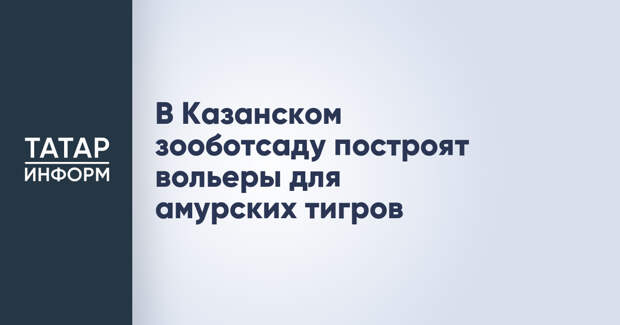 В Казанском зооботсаду построят вольеры для амурских тигров