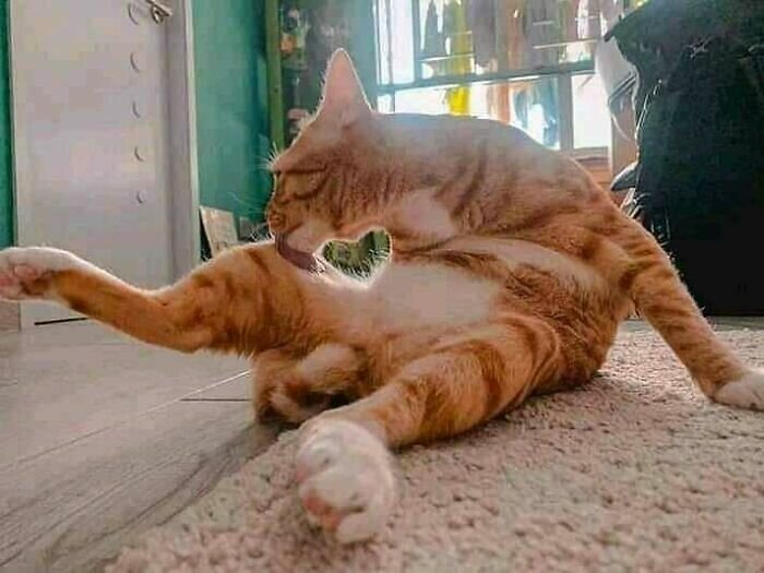 Фотографии, которые стоит увидеть хотя бы раз в жизни