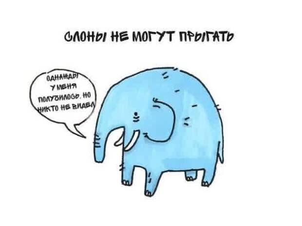 слон