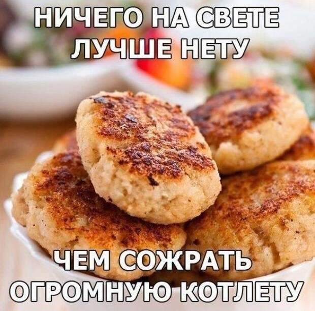 Веселые картинки с надписями до слез (11 фото) Веселые картинки с надписями до слез (11 фото)