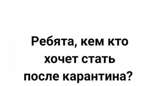 Майские праздники, удаленка и карантин: лучшие шутки в Сети