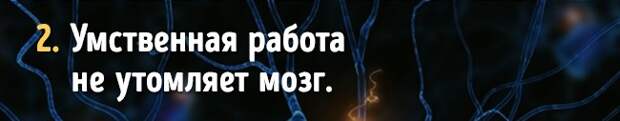 content_hering12__econet_ru content_hering12__econet_ru