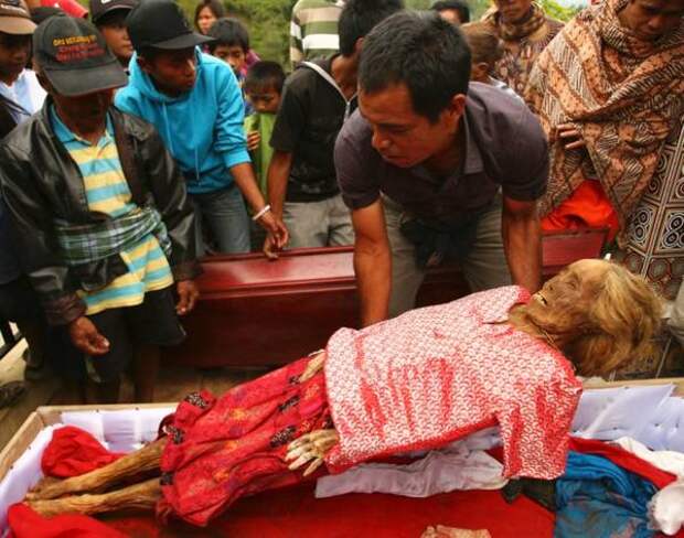 ритуал Ma'nene мумии индонезия