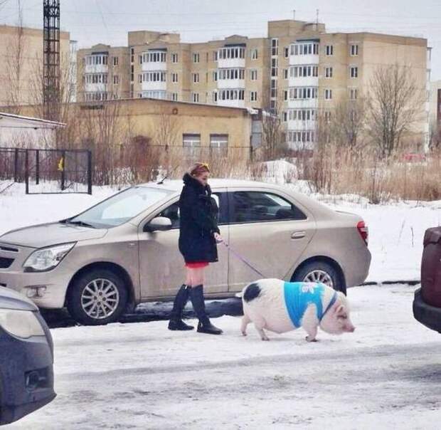 Фото со странностями Фото со странностями