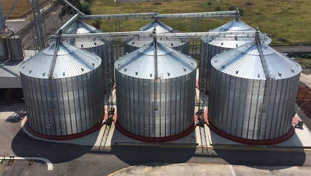 Зерно засосало женщину и ее племянника