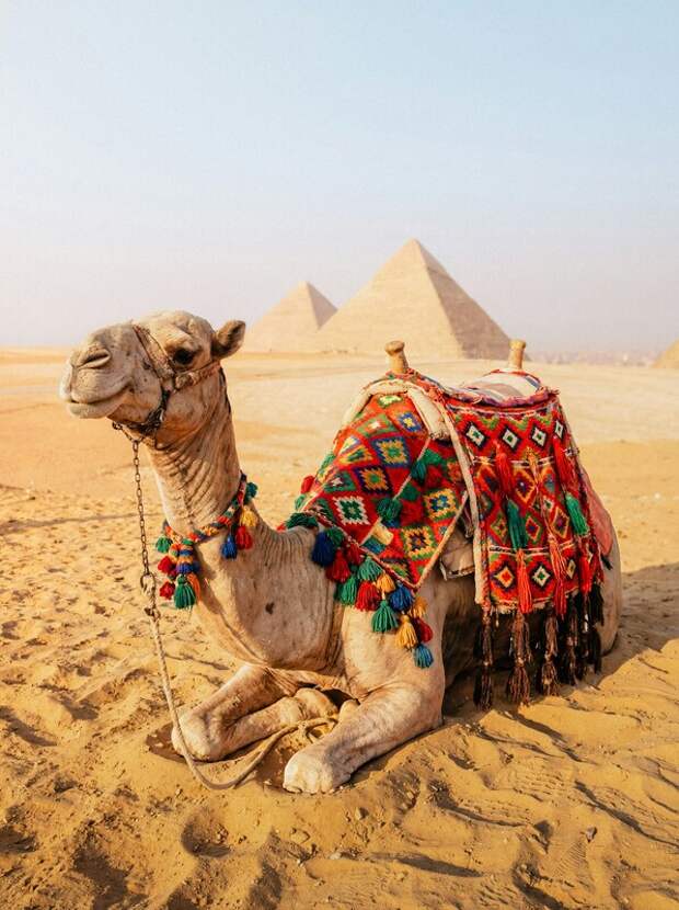 Turazbuka предлагает уникальный тест для желающих узнать больше о Древнем Египте