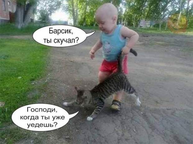 Прикольные фото