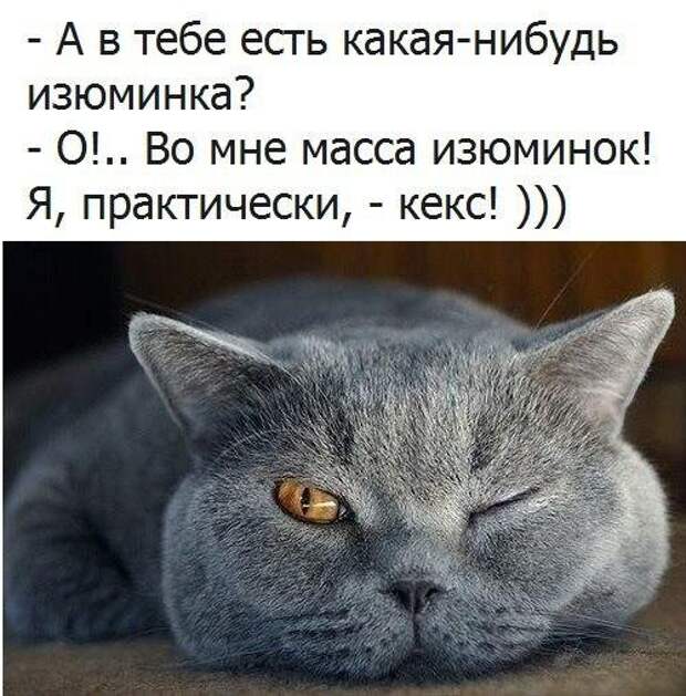 Прикольные фото
