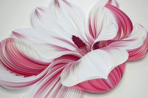 Фотография: Искусство аппликации: потрясающие бумажные цветы от творческого дуэта JUDiTH + ROLFE №2 - BigPicture.ru