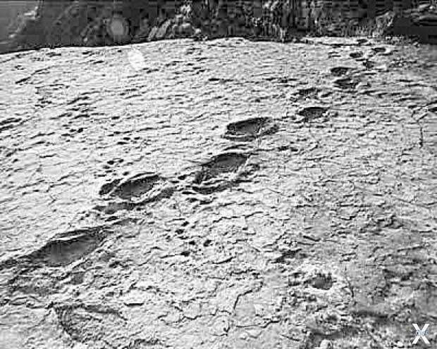 Следы в Кентукки, 1938 год