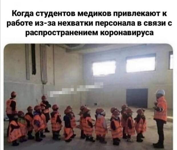 Коронавирусный юмор из социальных сетей