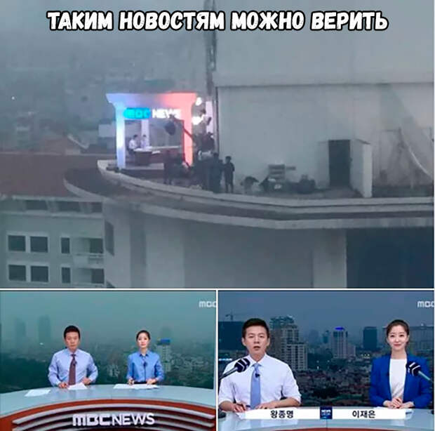 Мемы 