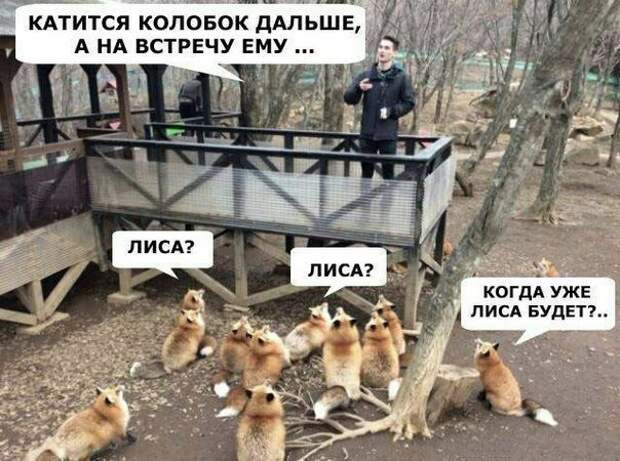 Картинки с надписями для настроения Картинки с надписями для настроения