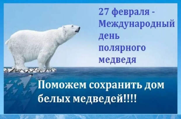 Международный день полярного медведя - интересные факты