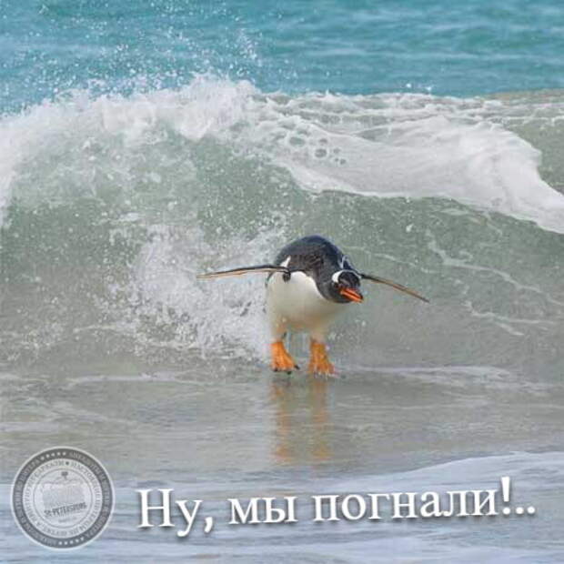 Ну, мы погнали!
