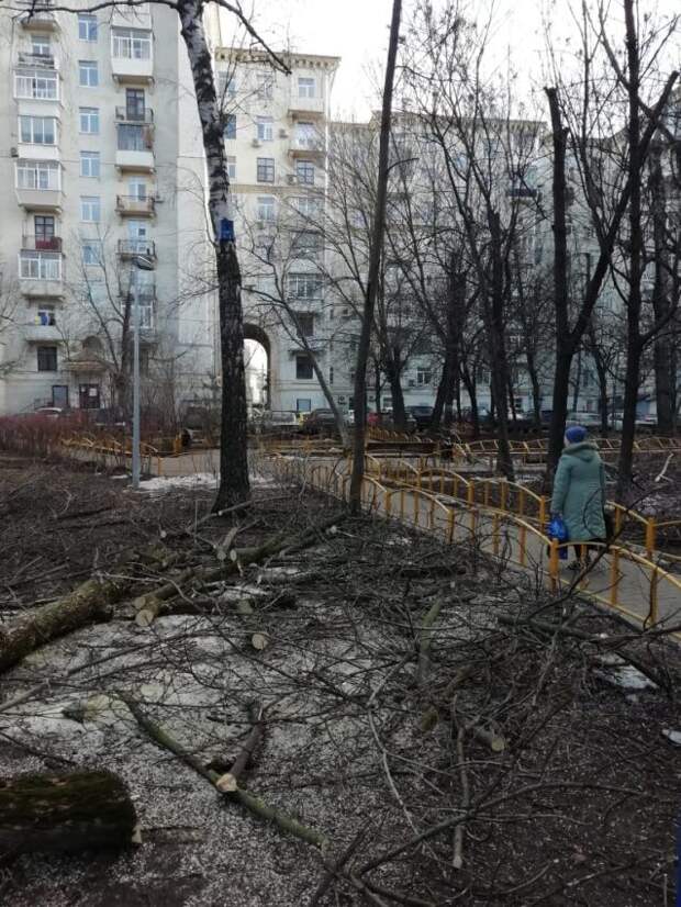 Фото: управа района Войковский