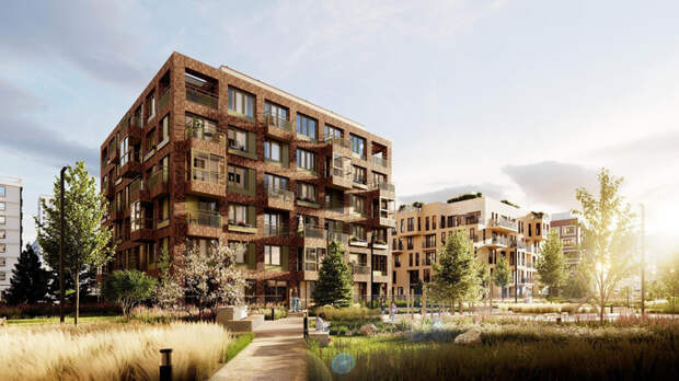 Без названия