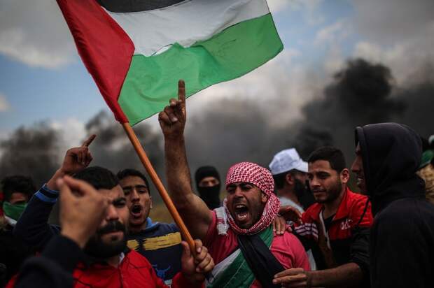 Почему арабский мир не принимает участия в борьбе палестинцев