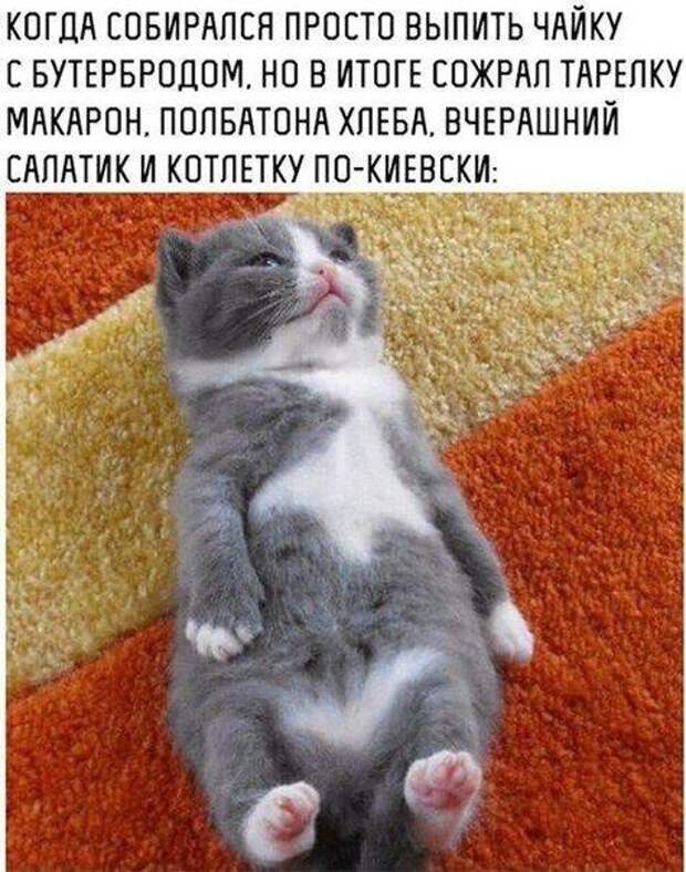 Прикольные фото