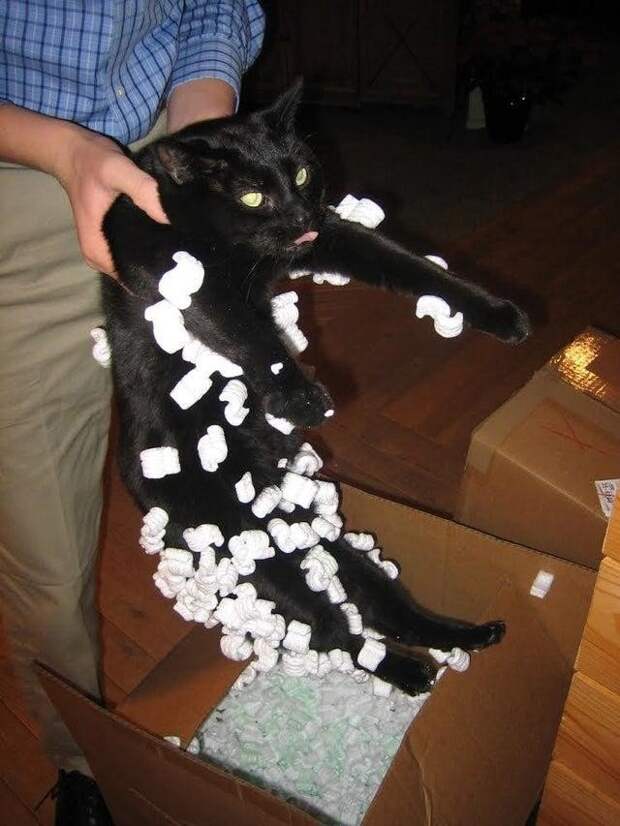 Он ни о чём не жалеет