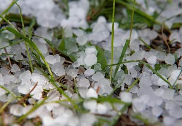 Какая погода будет в Краснодаре на праздничные выходные?