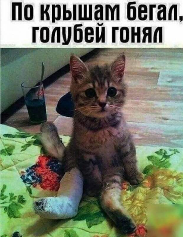 Прикольные и смешные картинки Прикольные и смешные картинки