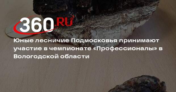 В Вологодской области стартовал чемпионат по профессиональному мастерству «Профессионалы