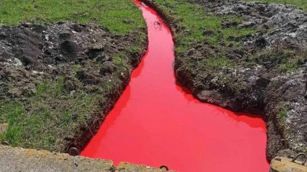 Вода в водостоке села в Белгородской области окрасилась в красный цвет: Новости ➕1, 13.04.2023