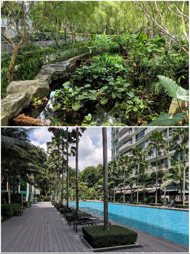 Для комфортного отдыха на открытом воздухе созданы пруды и бассейны («Tree House», Сингапур). | Фото: stackedhomes.com. 