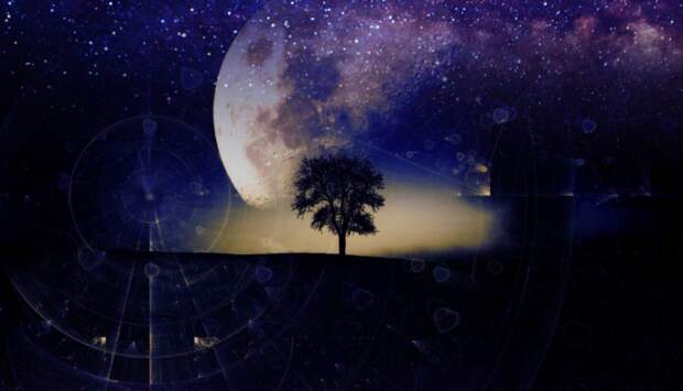 Космономика — научная концепция Вероники Кудрявцевой