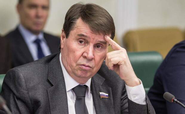 Сенатор Цеков предложил обсудить провоцирование Зеленским ядерной войны в СБ ООН